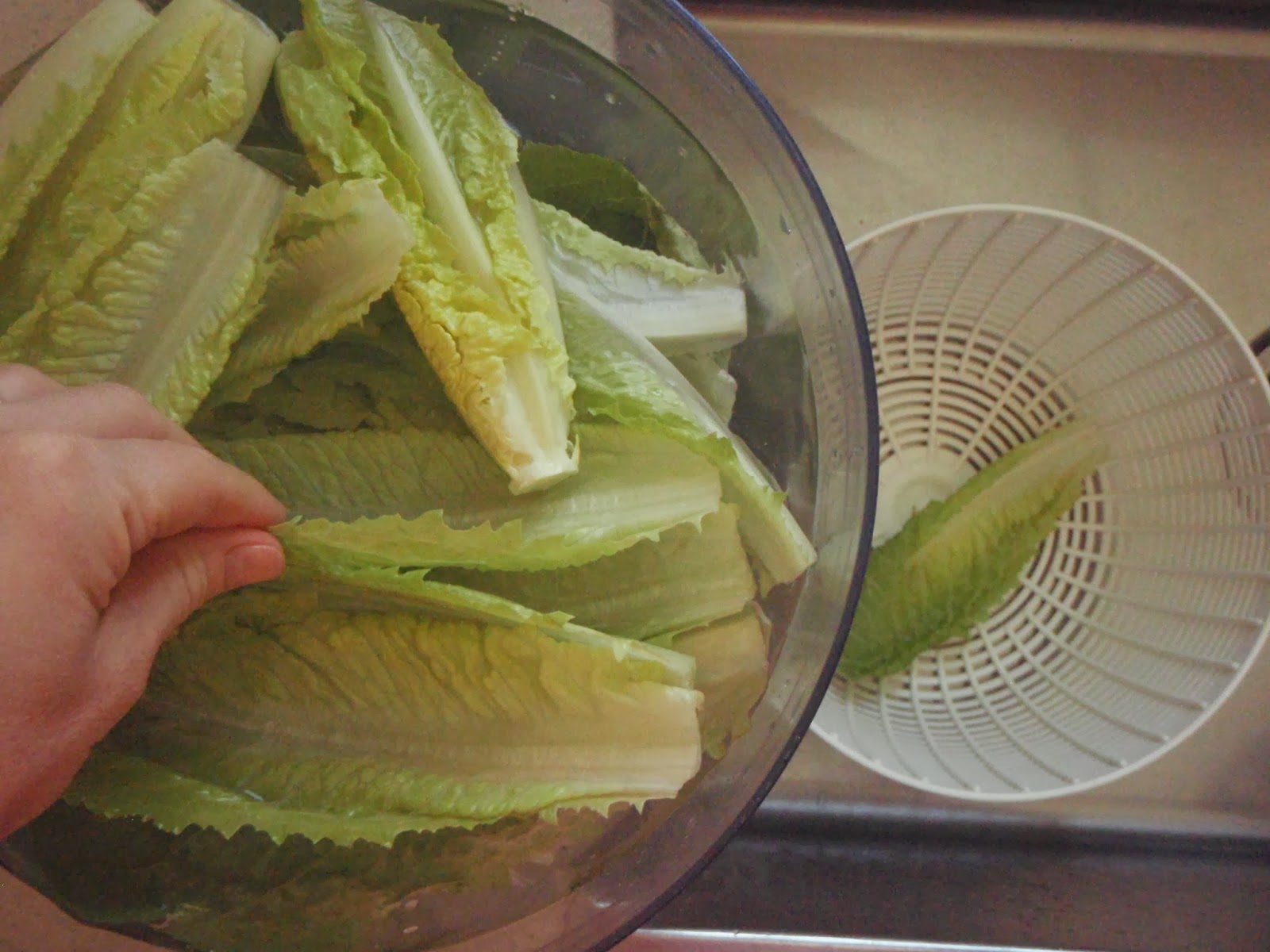 Cook with Claire Romaine Lettuce How to wash & store