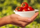 I cibi che riducono il rischio di ammalarsi di cancro Pomodori contro i tumori
