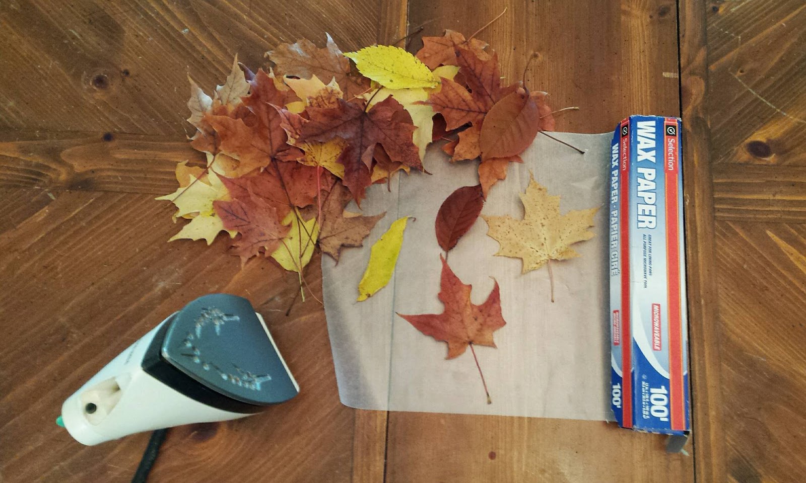 upcy-preserving-leaves-with-wax-paper-diy