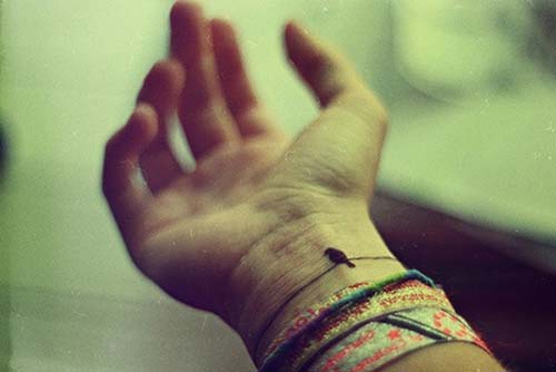 small bird tattoo tumblr minik kuş dövmesi small bird tattoo tumblr minik kuş dövmesi