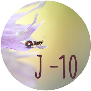 https://fr.ulule.com/les-choses-minuscules/