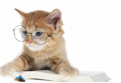 صور متحركة جميلة للفيس بوك 410594-cute-cats-cute-cat-whit-glasses