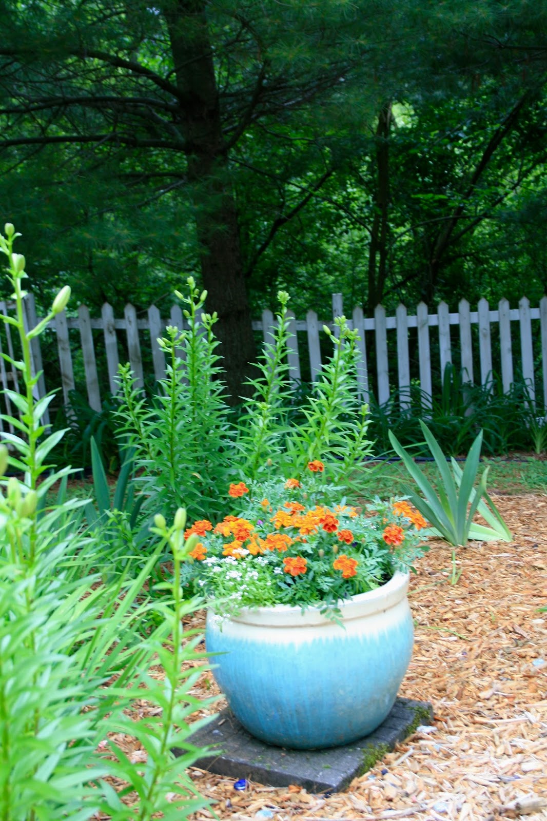 Amy's Creative Pursuits The Late June Garden
