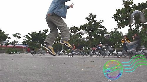 關渡水岸公園|關渡碼頭藍色公路乘船處之一