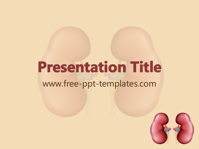 Kidney PPT Template Mr Templates