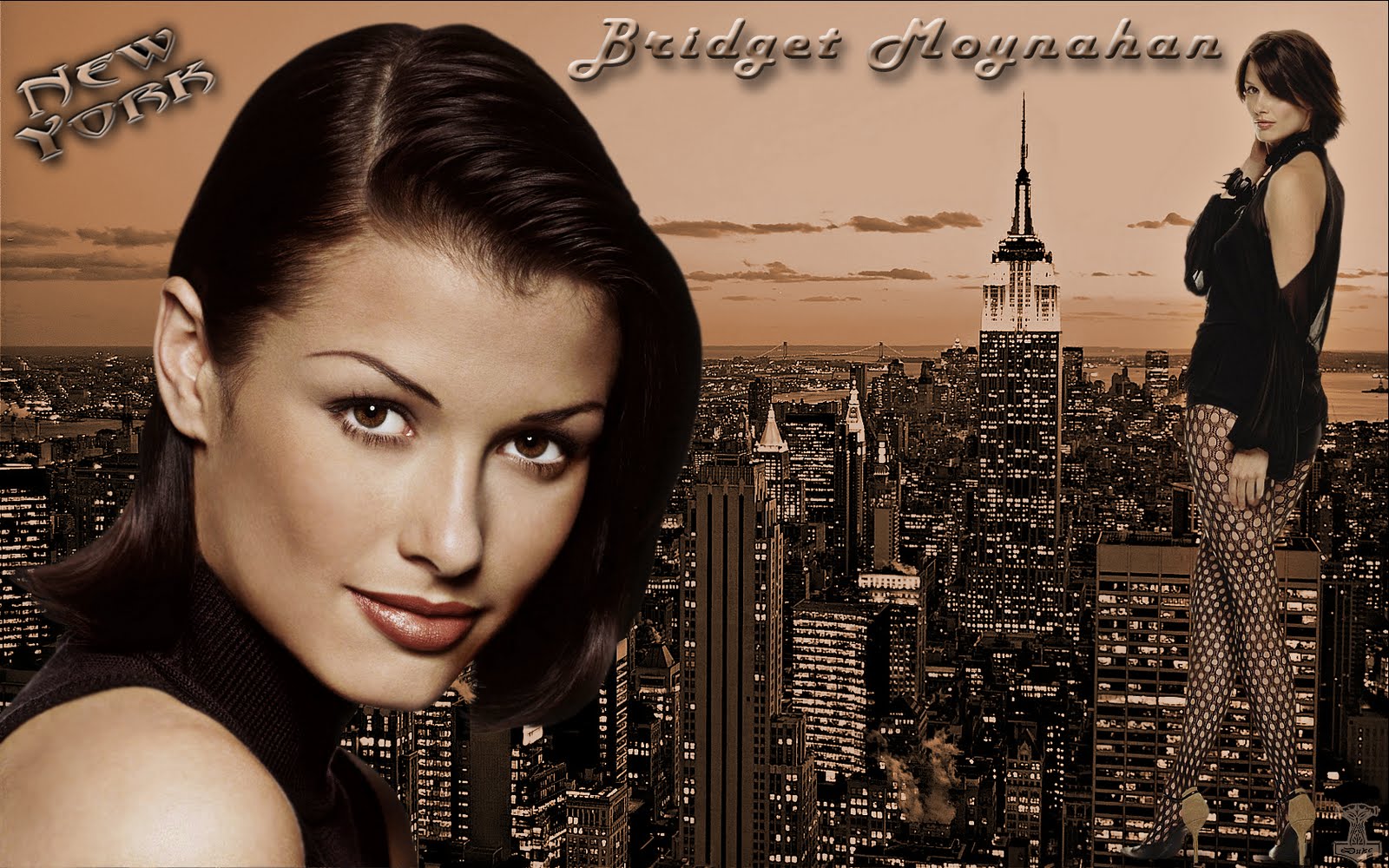 Dukes Wallpaper-Blog: Bridget Moynahan Wallpaper 1680x1050