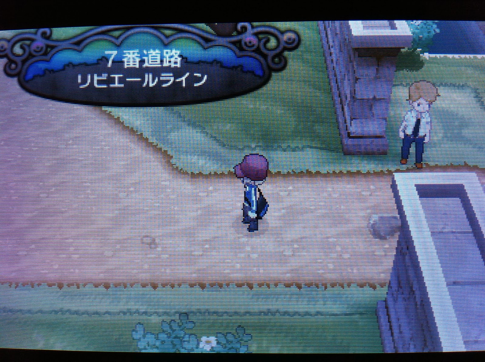 ポケモンxy 爵位 イメージポケモンコレクション