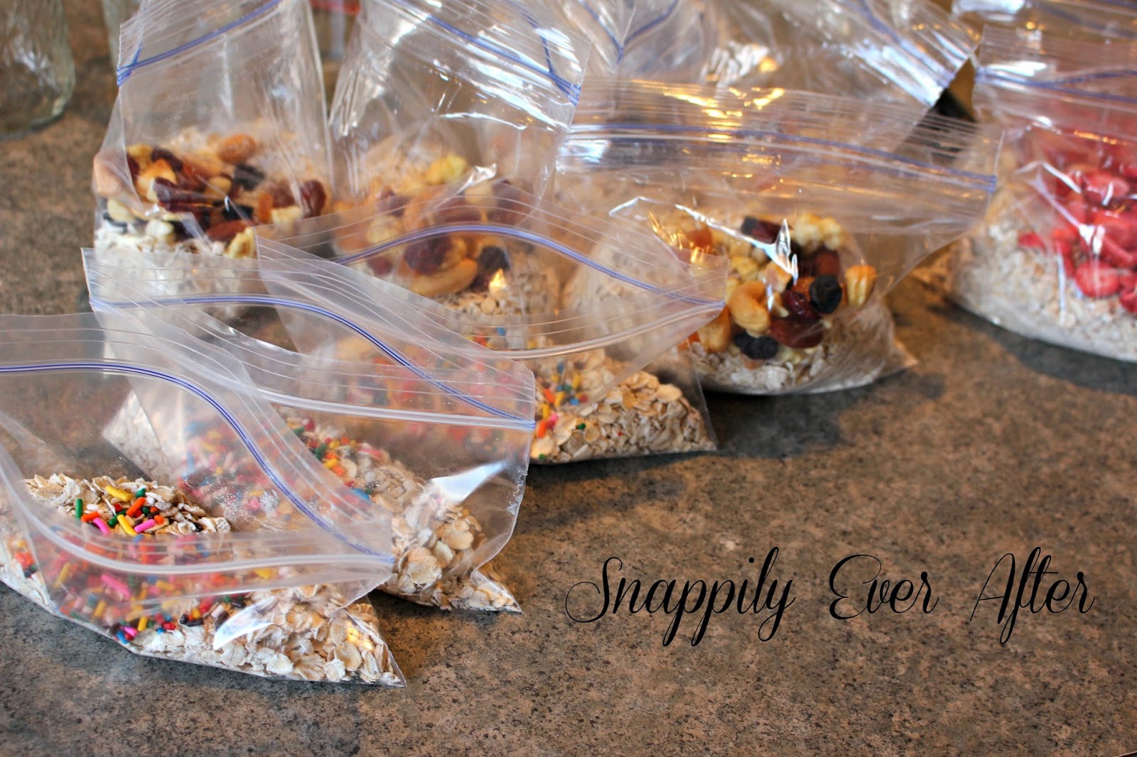 Snappily Ever After Homemade Instant Oatmeal with Flavor Combination Ideas