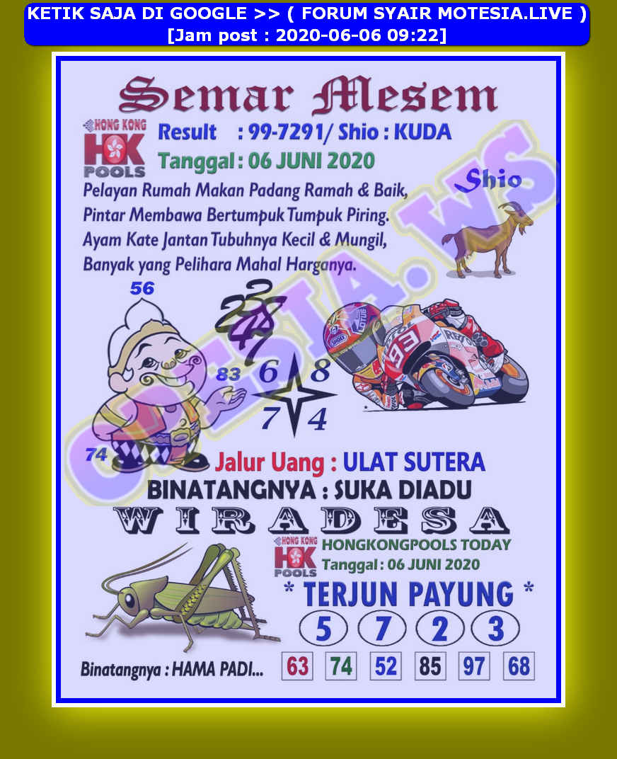 forum syair hk Meloditogel