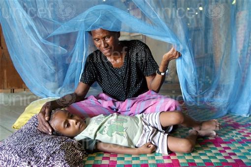 Joining Forces to Fight Malaria in Asia-Pacific