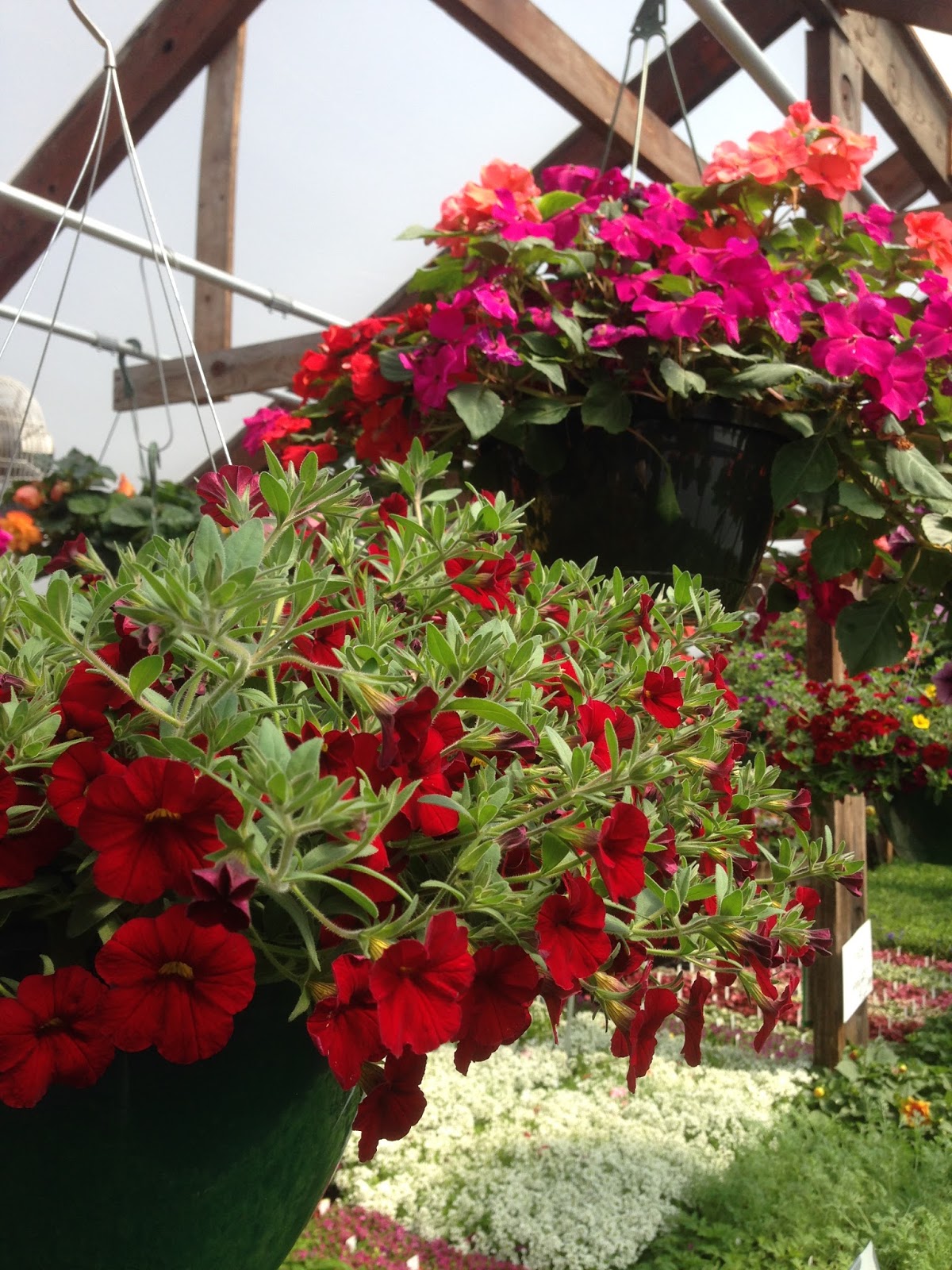 Food Write The Secret Greenhouse (Sandstone, MN)