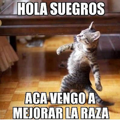 Chistosas de de amor: Chistosas de de amor: