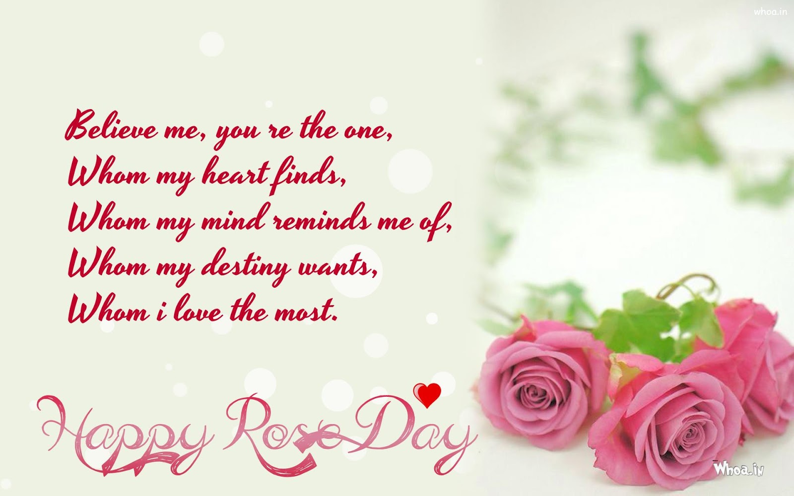 Rose pictures with love quotes