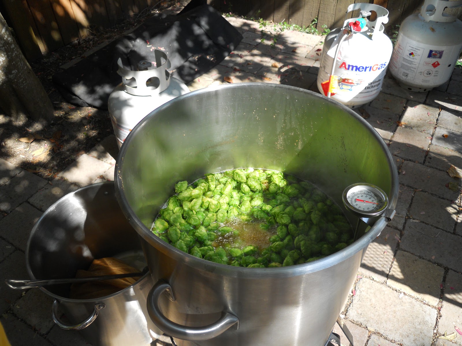 Beeronomics Growing Your Own Fresh Hop Brewing