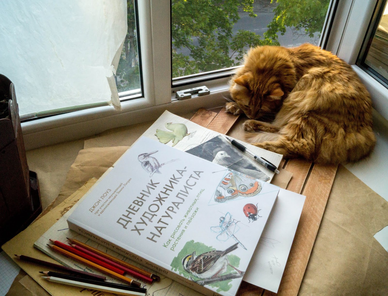 дневник художника книга. рисунки художника-натуралиста джона лоуза. блокноты для рисования скетчей. дневник художника натуралиста книга. джон лоуз "дневник художнника натуралиста.