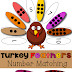 Turkey Feathers Number Matching Game