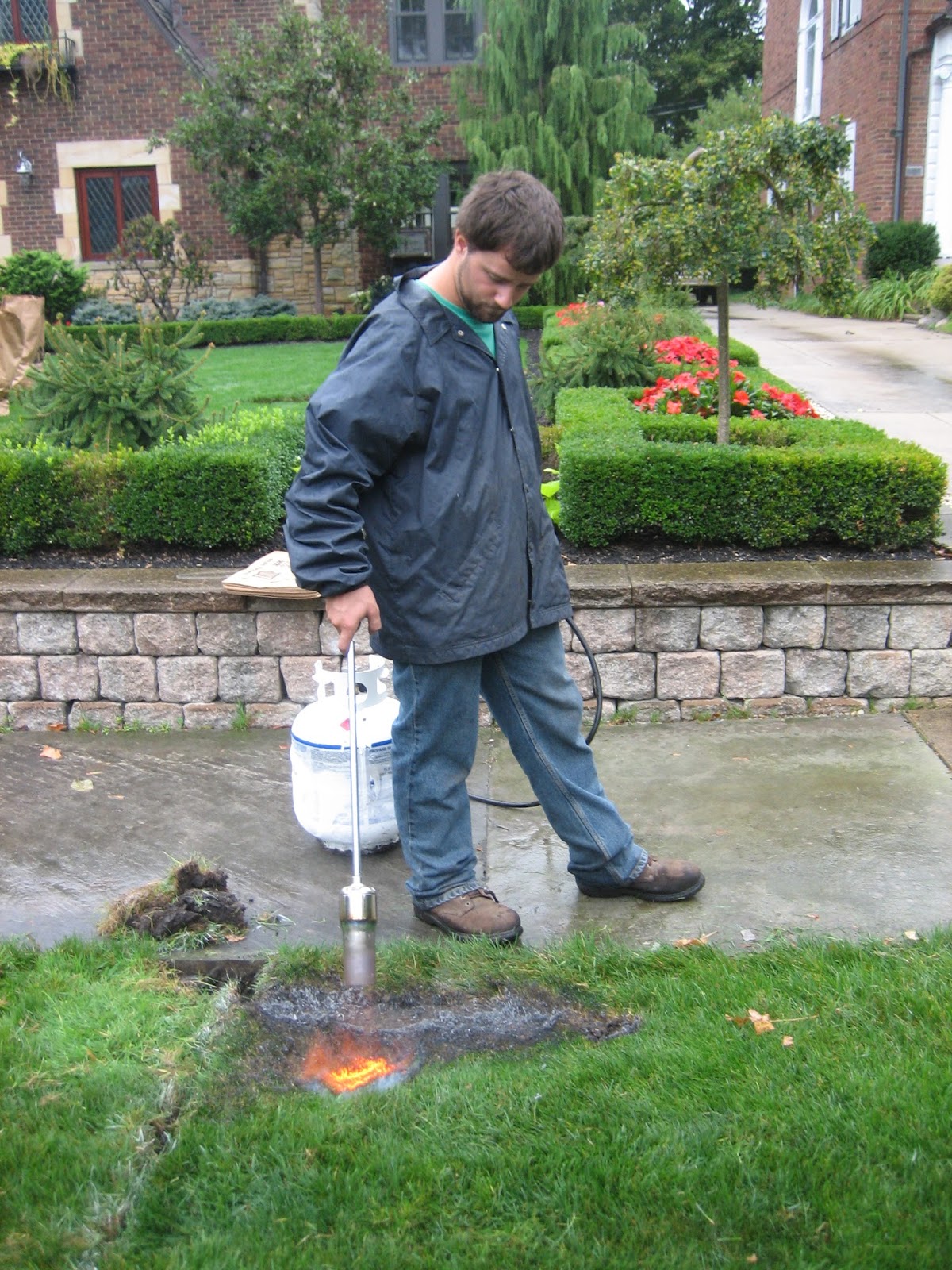Lawn Lad Landscaper Controlling And Eliminating Creeping The Challenge Has Been No Effective Weed Control Product That Can Selectively Remove Creeping Bent Gr From Desirable Cool Season Turf Types Like You