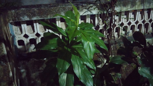 LG G2: outdoor, night, no flash Perbandingan Hasil Kamera Lumia 925 vs. LG G2