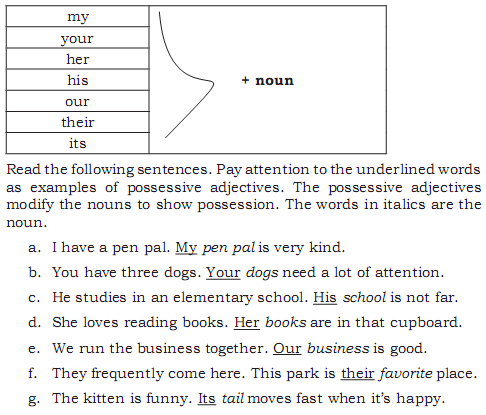 Talking About Self Part 3 Pronoun Bahasa Inggris Smp Mts