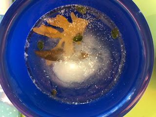 bowl with leaves frozen in water