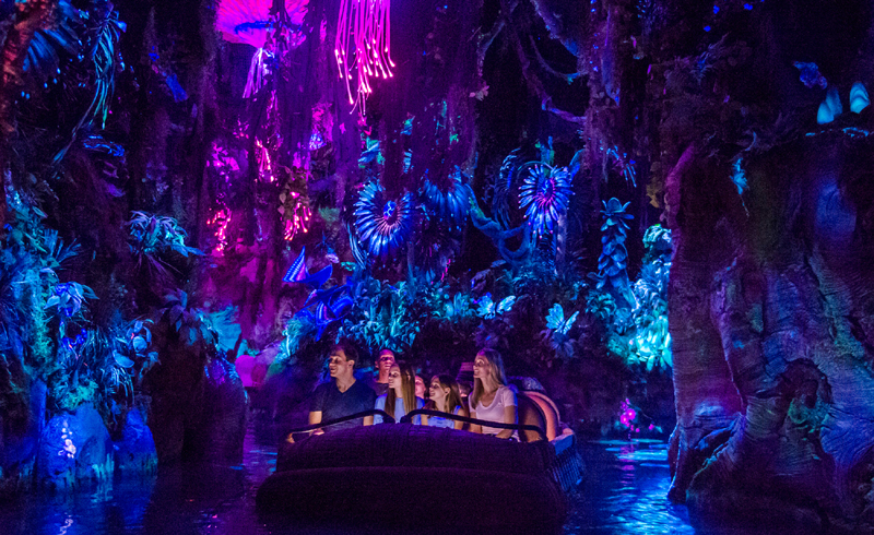 Pandora – The World of AVATAR at Walt Disney World