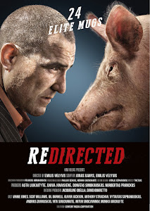 Redirected Poster