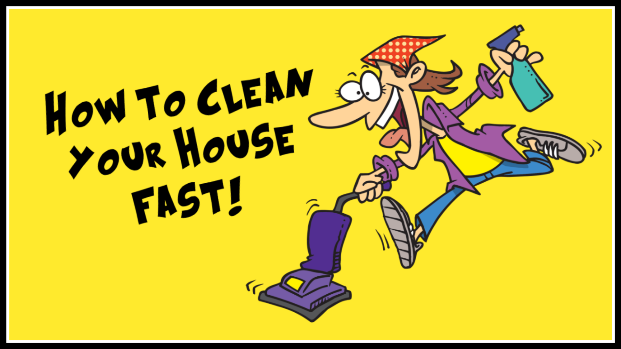 Poppy Juice How To Clean Your House FAST Tips And Tricks From A Pro