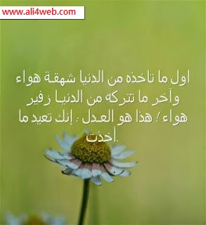 كلمات جميلة | كلمات من ذهب كلمات جميلة | كلمات من ذهب