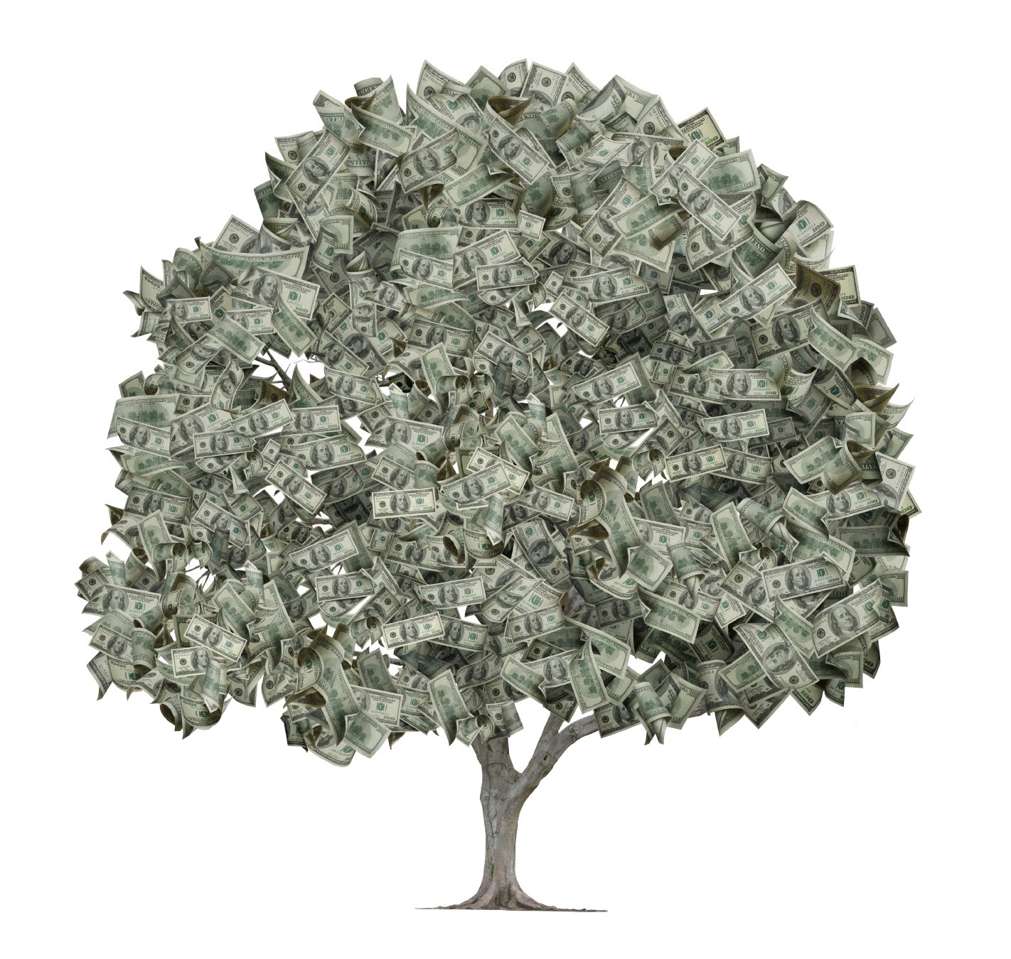 http://4.bp.blogspot.com/-VrKGuN_pMOY/TjPql78UI9I/AAAAAAAAATg/rcI3edZvYr8/s1600/iStock_money+tree.jpg