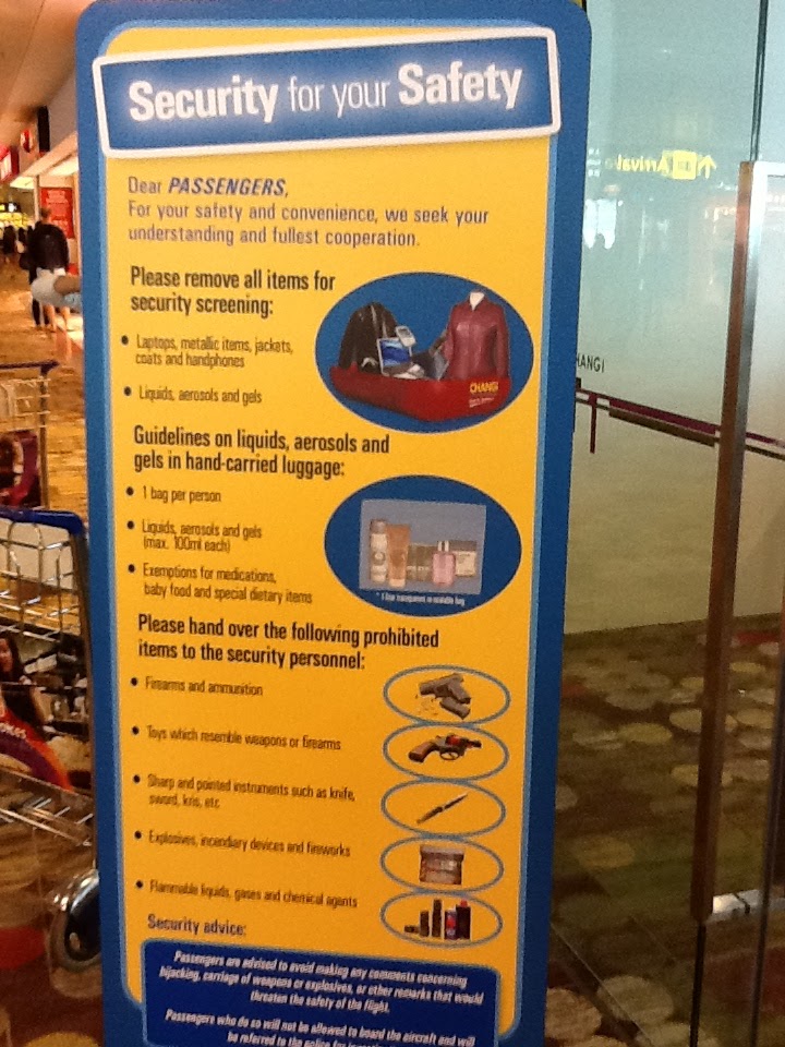 Tan Kin Lian's Blog Airport security