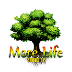 More Life Productions-California