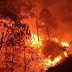 Another Forest Fires at Mt. Pulag destroys 650 hectares of forest land