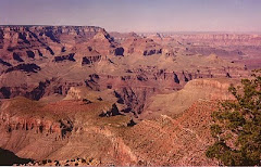 The Canyon