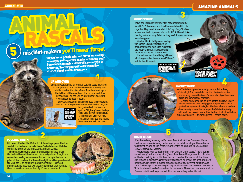 Free Printable Articles About Animals