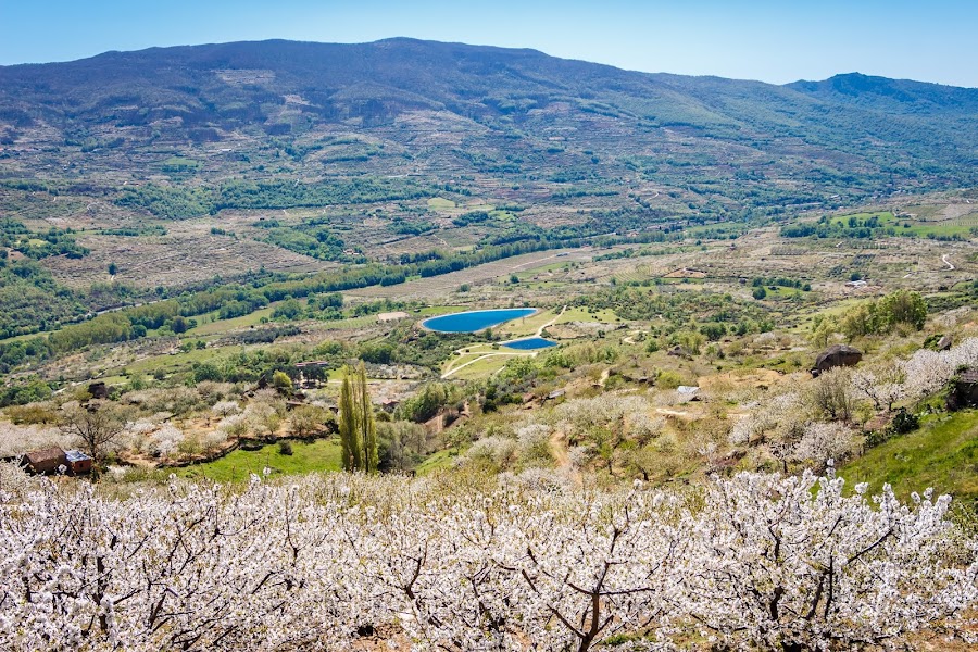 El Valle del Jerte en floración