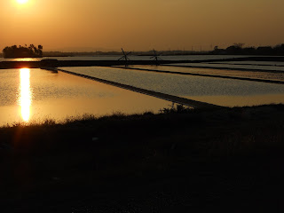 Ladang Garam Sunset