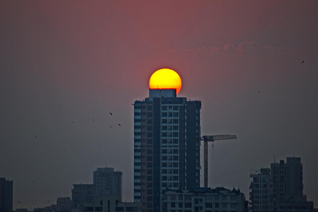 skywatch, sky, hazy, birds, dusk, sunset, bandra, mumbai, india, 