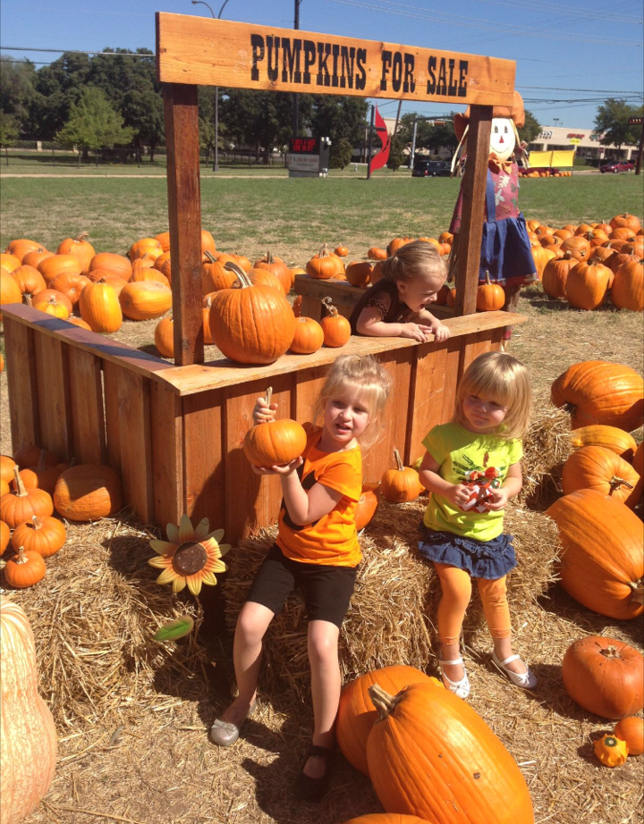 Everything Arlington, TX! Pumpkin Patch Roundup!