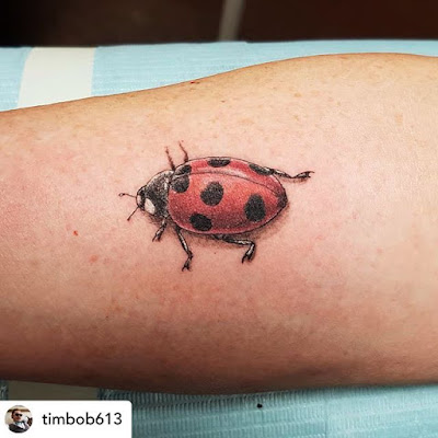 ✘ 44+ Best Ladybug Tattoos Ideas Designs For Summer 2020 belong to the family of beetles referred to as Coccinellidae ✘ 44+ Best Ladybug Tattoos Ideas Designs For Summer 2020