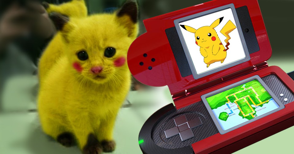 100 ideias de Pikachu  pokemon, pikachu, pikachu fofinho