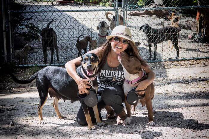 Woman Has Sheltered 97 Stray Dogs In Her House In The Bahamas To Protect Them From The Category 5 Storm