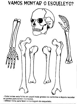 esqueleto%252525201.gif - Atividades Corpo Humano