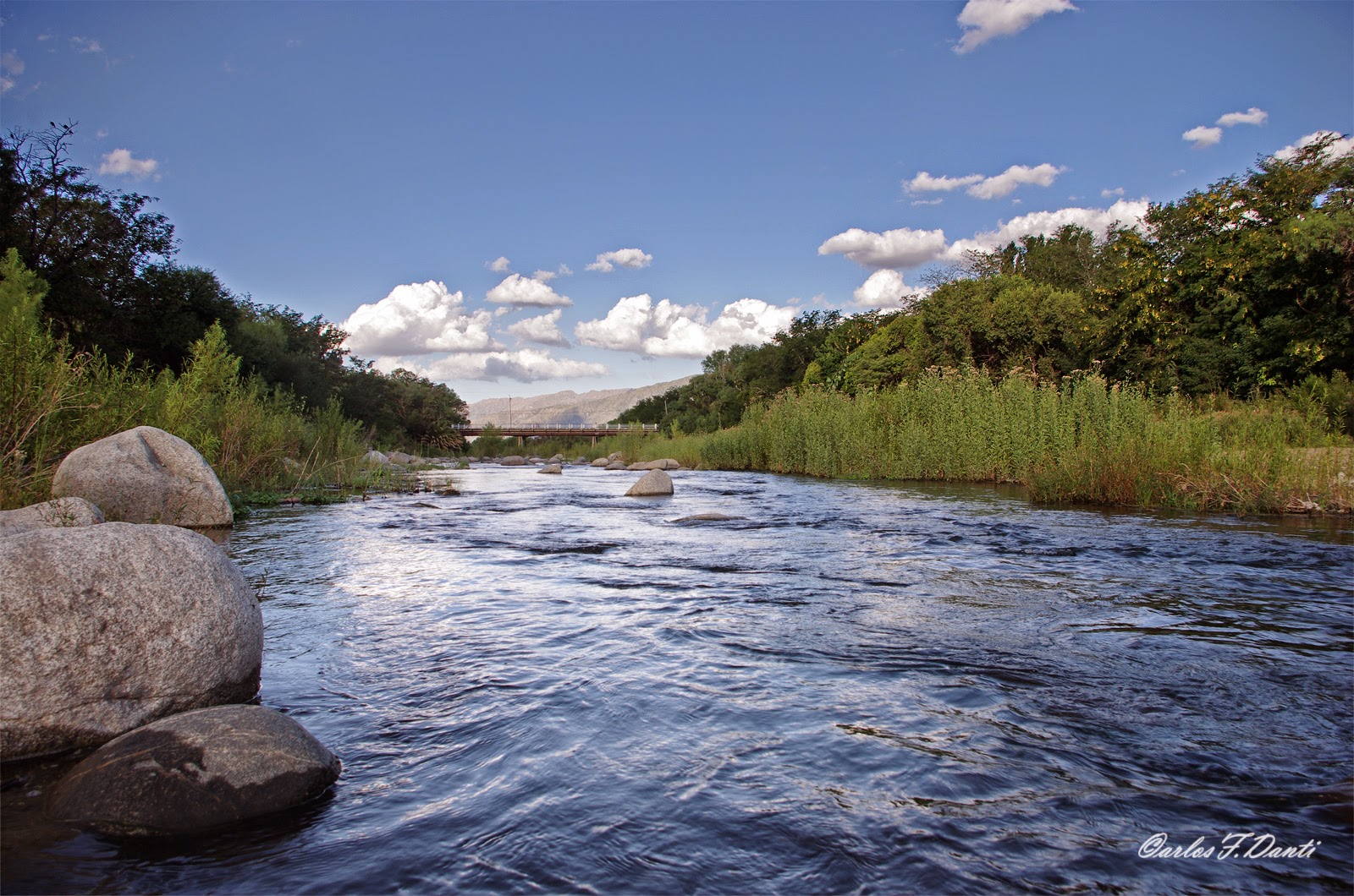 Naturaleza en San Francisco del Monte de Oro RÍO SAN FRANCISCO
