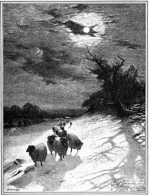 Abaculi: Over Snowfields, Waste and Pathless (1904)