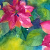A Flor do Natal - Aquarela #17 (The Flower of Christmas - Watercolor # 17) - VIDEO