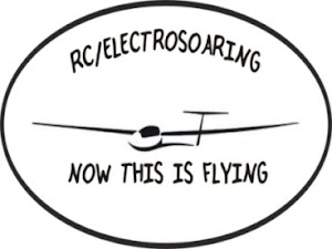 Le logo du blog de l'électrosoaring