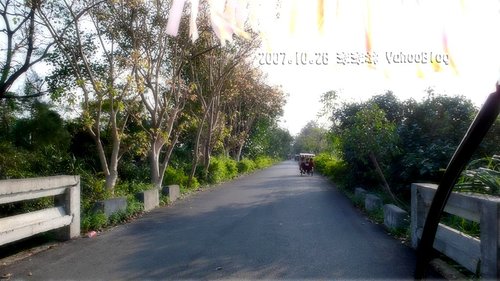 永安濱海景點|新屋綠色走廊自行車道