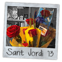 Sant Jordi 2013 (by x_luka)