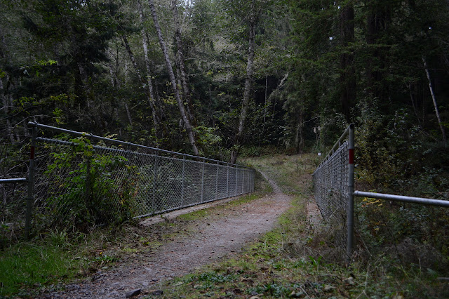 at the bridge, no trail