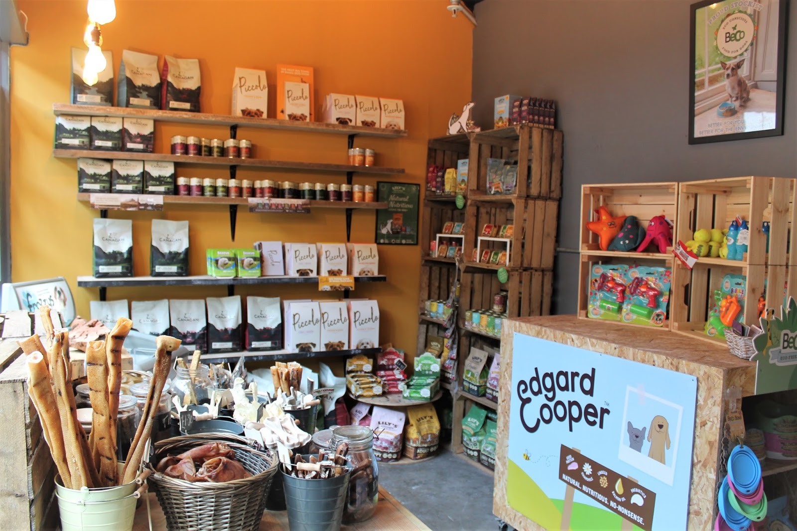 Hounds NewcastleUnderLyme Staffordshire Paws across Britain